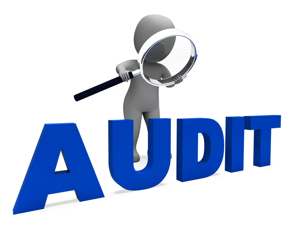Audit Lean Six Sigma Training Guide Copy
